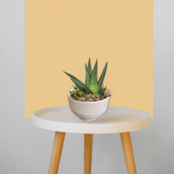 Theebby VSM0035 Seramik Saksı Beyaz - 2