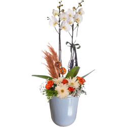 Theebby VSM0065 Seramik Saksı Gri - Theebby