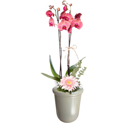 Theebby VSM0065 Seramik Saksı Haki - 1