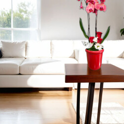 Theebby VSM0065 Seramik Saksı Kırmızı - 4