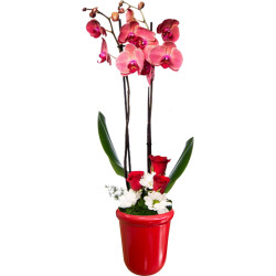 Theebby VSM0065 Seramik Saksı Kırmızı - 1