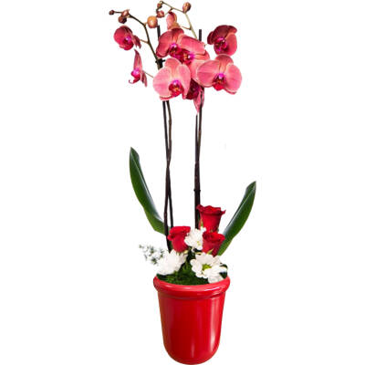 Theebby VSM0065 Seramik Saksı Kırmızı - 1