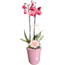 Theebby VSM0065 Seramik Saksı Pembe - 1