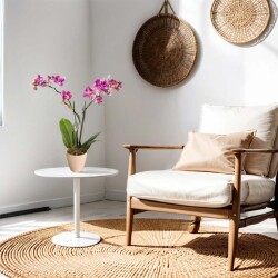 Theebby VSM0079 Seramik Saksı Krem - 2