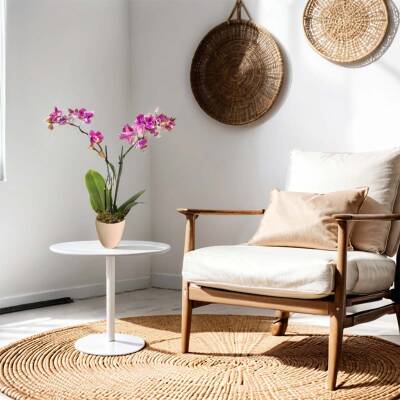 Theebby VSM0079 Seramik Saksı Krem - 2