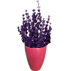 Theebby VSM0079 Seramik Saksı Mürdüm 