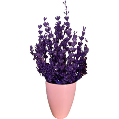 Theebby VSM0079 Seramik Saksı Pembe - 1