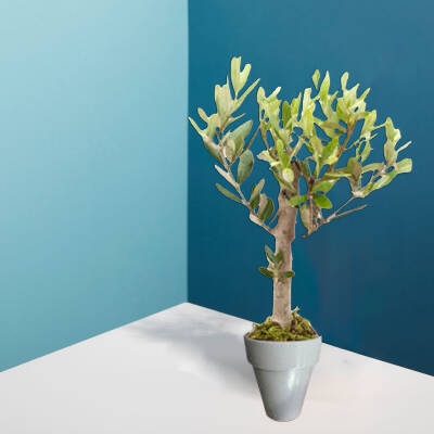 Theebby VSM0083 Seramik Saksı Gri - 1