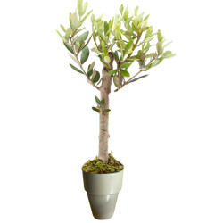 Theebby VSM0083 Seramik Saksı Haki 