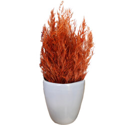 Theebby VSM0090 Seramik Saksı Gri 
