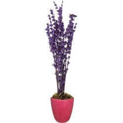 Theebby VSM0090 Seramik Saksı Mürdüm 