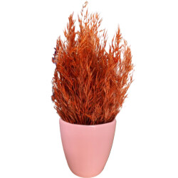 Theebby VSM0090 Seramik Saksı Pembe 