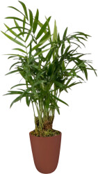 Theebby VSM0090 Seramik Saksı Terracota 