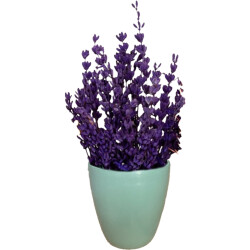 Theebby VSM0090 Seramik Saksı Yeşil 