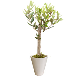 Theebby VSMDC1 Seramik Saksı Beyaz 