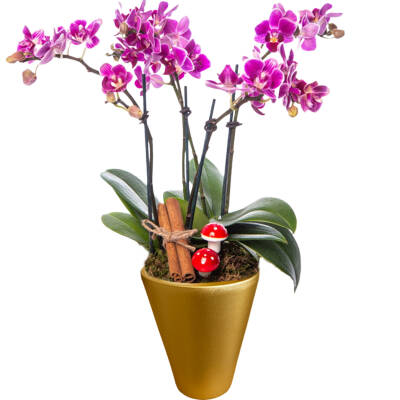 Theebby VSMDC1 Seramik Saksı Gold - 1