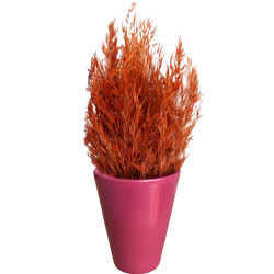 Theebby VSMDC1 Seramik Saksı Mürdüm - Theebby