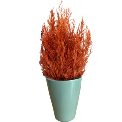 Theebby VSMDC1 Seramik Saksı Yeşil - Theebby