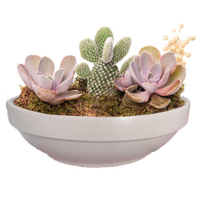 Theebby VSMDC2 Seramik Saksı Beyaz - 1