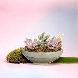 Theebby VSMDC2 Seramik Saksı Haki - Theebby (1)