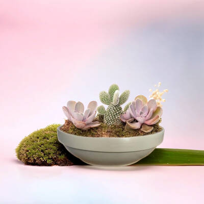 Theebby VSMDC2 Seramik Saksı Haki - 2