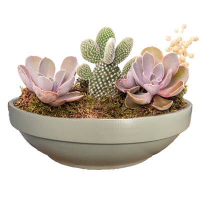 Theebby VSMDC2 Seramik Saksı Haki - 1