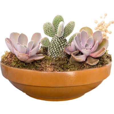 Theebby VSMDC2 Seramik Saksı Kiremit - 1