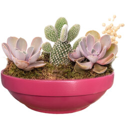 Theebby VSMDC2 Seramik Saksı Mürdüm - Theebby