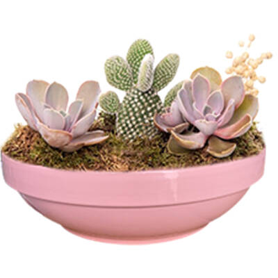 Theebby VSMDC2 Seramik Saksı Pembe - 1