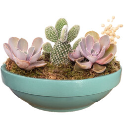 Theebby VSMDC2 Seramik Saksı Yeşil - Theebby