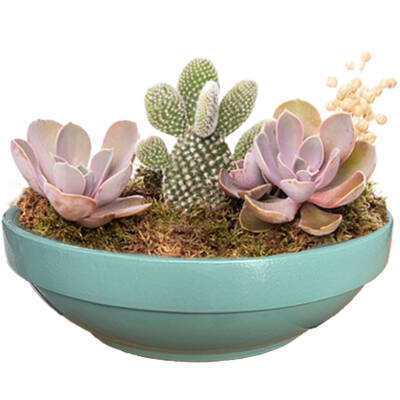 Theebby VSMDC2 Seramik Saksı Yeşil - 1